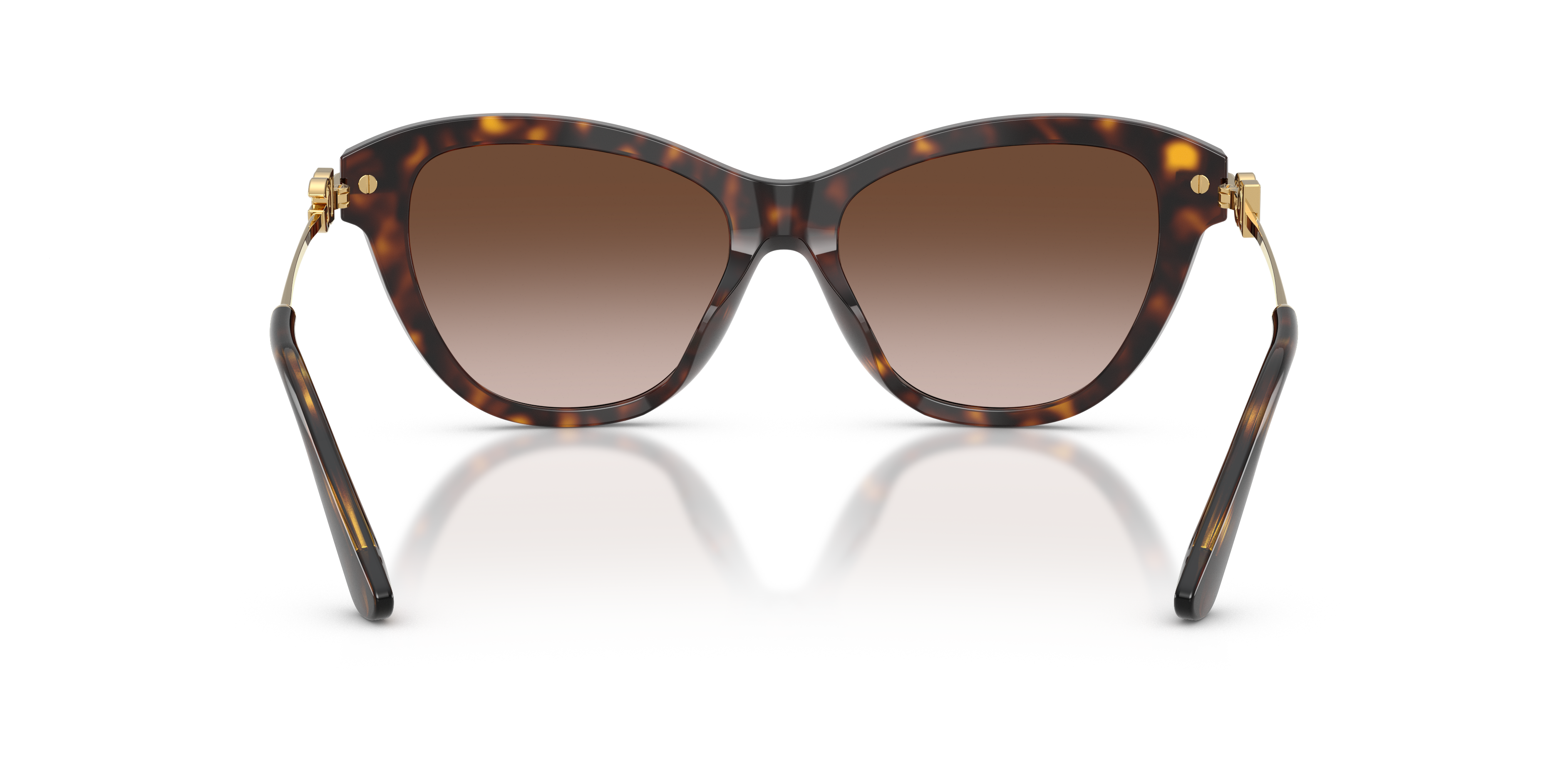 Dolce & Gabbana DG4534 502/13  